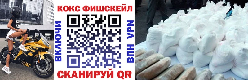 COCAIN Fish Scale Санкт-Петербург