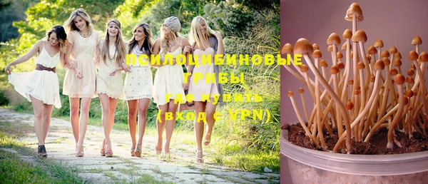 каннабис Алексеевка