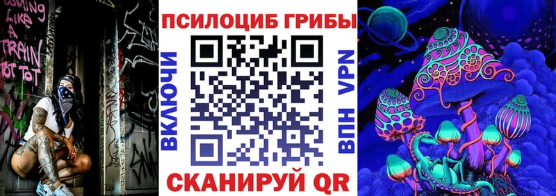 магазин  наркотиков  Санкт-Петербург  Псилоцибиновые грибы Cubensis 