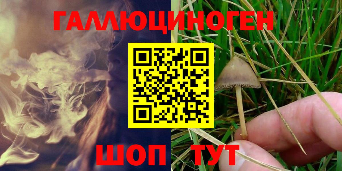 Псилоцибиновые грибы Cubensis Санкт-Петербург
