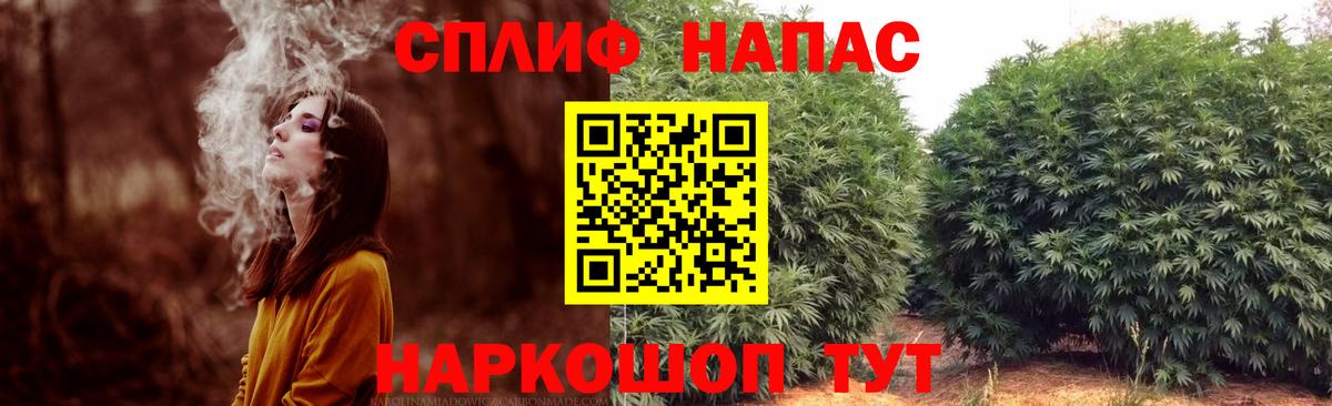 Конопля ГИДРОПОН Санкт-Петербург